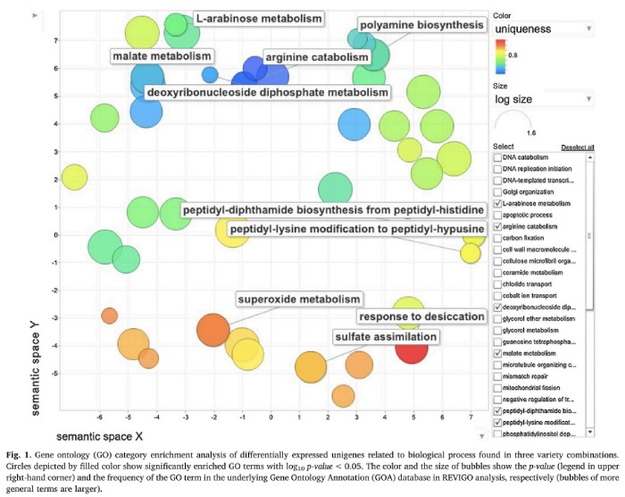 自粘系列防水卷材